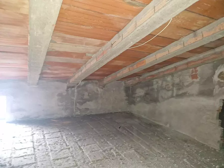 Immagine 38 di Appartamento in vendita  a Piombino