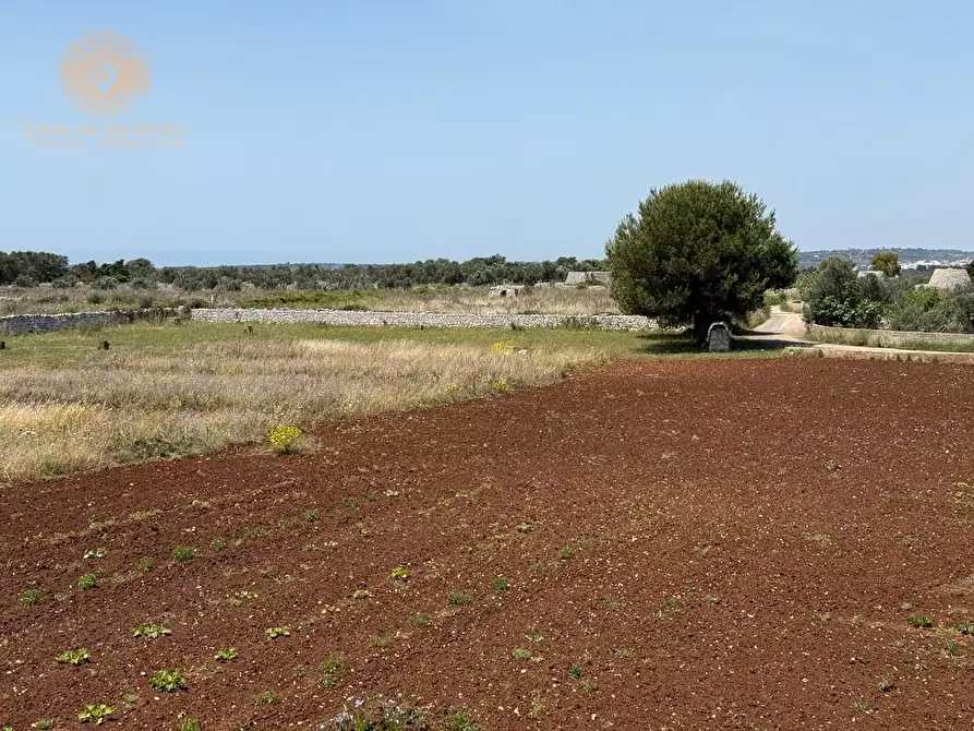 Immagine 8 di Rustico / casale in vendita  a Gagliano Del Capo
