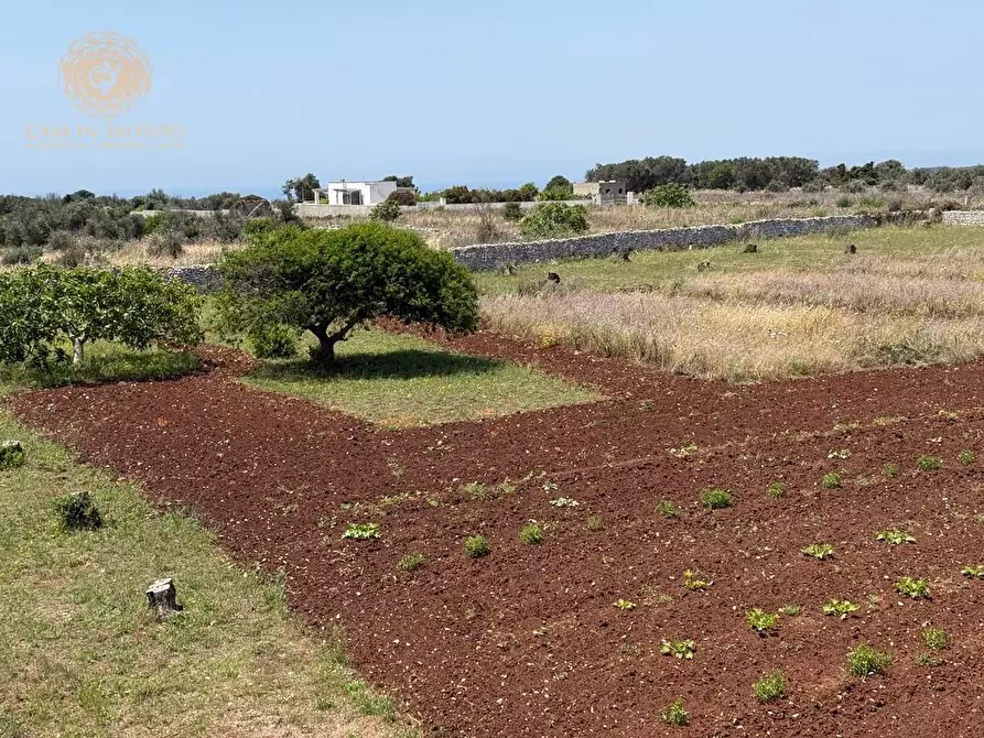Immagine 7 di Rustico / casale in vendita  a Gagliano Del Capo
