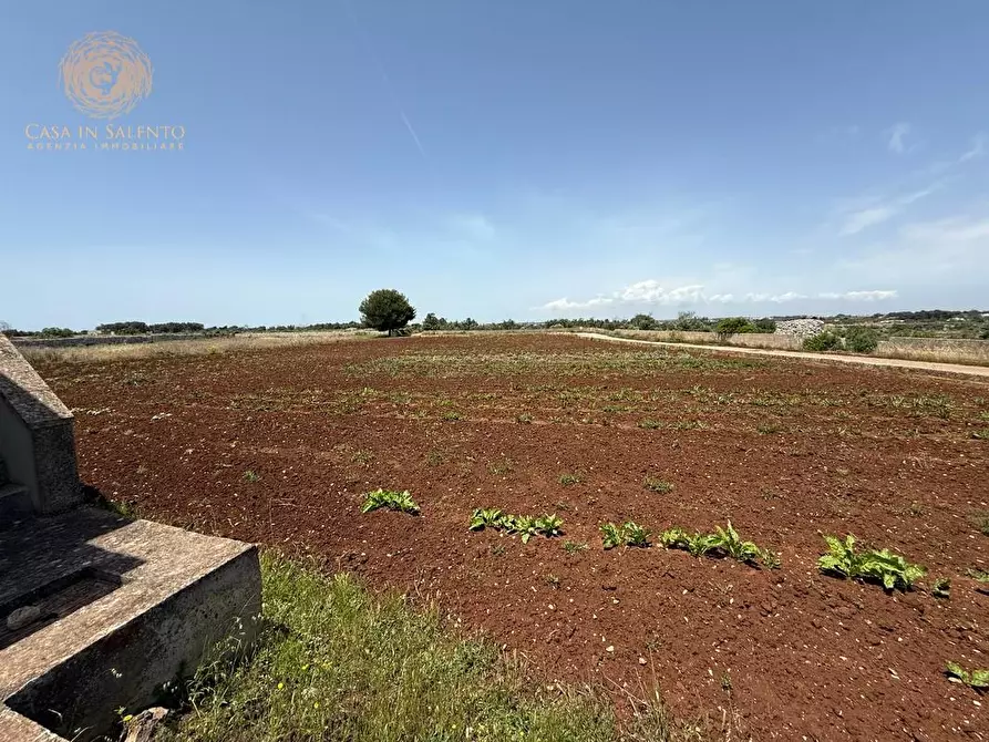Immagine 17 di Rustico / casale in vendita  a Gagliano Del Capo