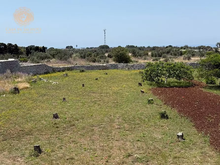 Immagine 9 di Rustico / casale in vendita  a Gagliano Del Capo