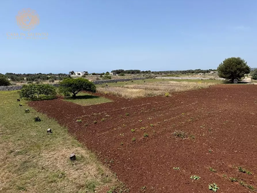 Immagine 4 di Rustico / casale in vendita  a Gagliano Del Capo