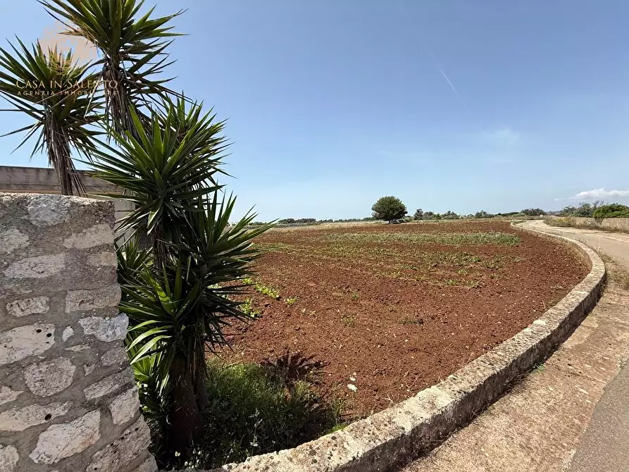 Immagine 20 di Rustico / casale in vendita  a Gagliano Del Capo