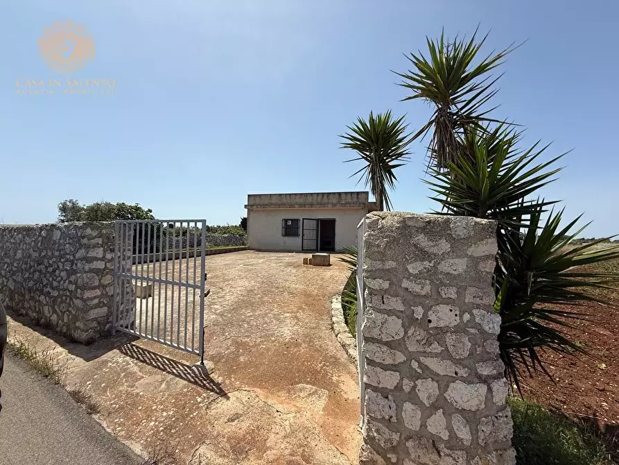 Immagine 19 di Rustico / casale in vendita  a Gagliano Del Capo