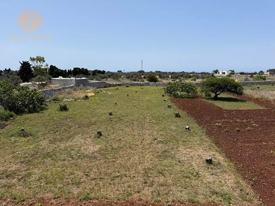 Immagine 3 di Rustico / casale in vendita  a Gagliano Del Capo