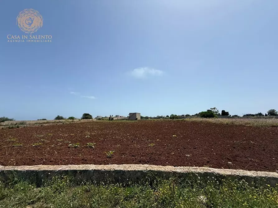 Immagine 28 di Rustico / casale in vendita  a Gagliano Del Capo