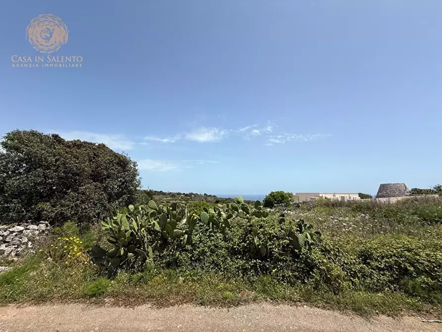 Immagine 21 di Rustico / casale in vendita  a Gagliano Del Capo