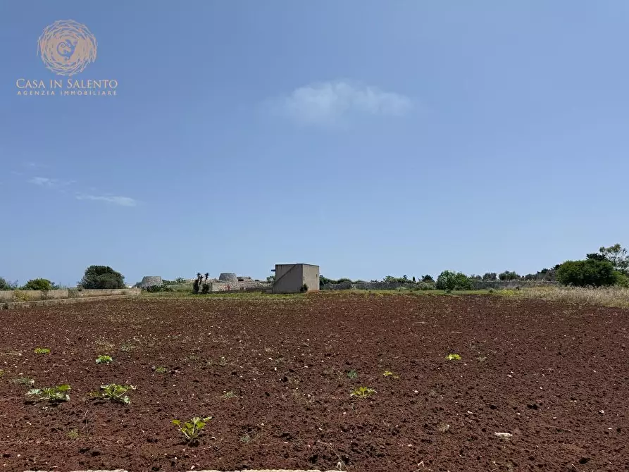Immagine 27 di Rustico / casale in vendita  a Gagliano Del Capo