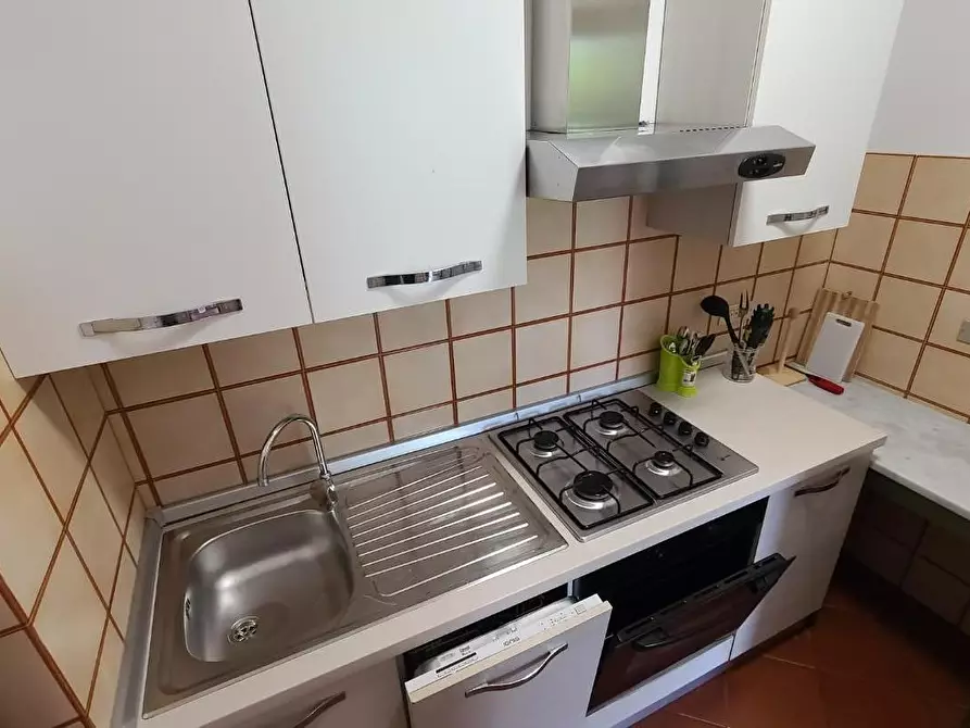 Immagine 14 di Casa trifamiliare in affitto  a Pietrasanta