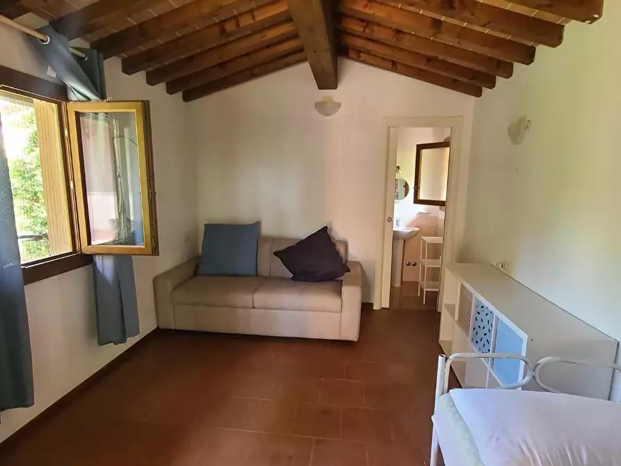 Immagine 11 di Casa trifamiliare in affitto  a Pietrasanta