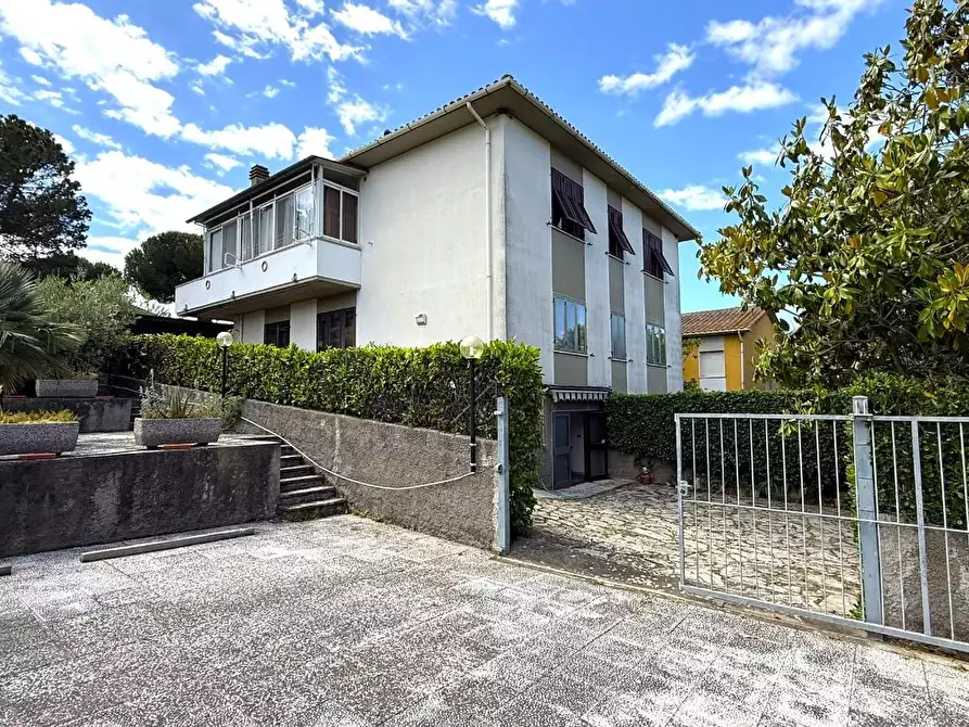 casa indipendente in vendita a Montescudaio