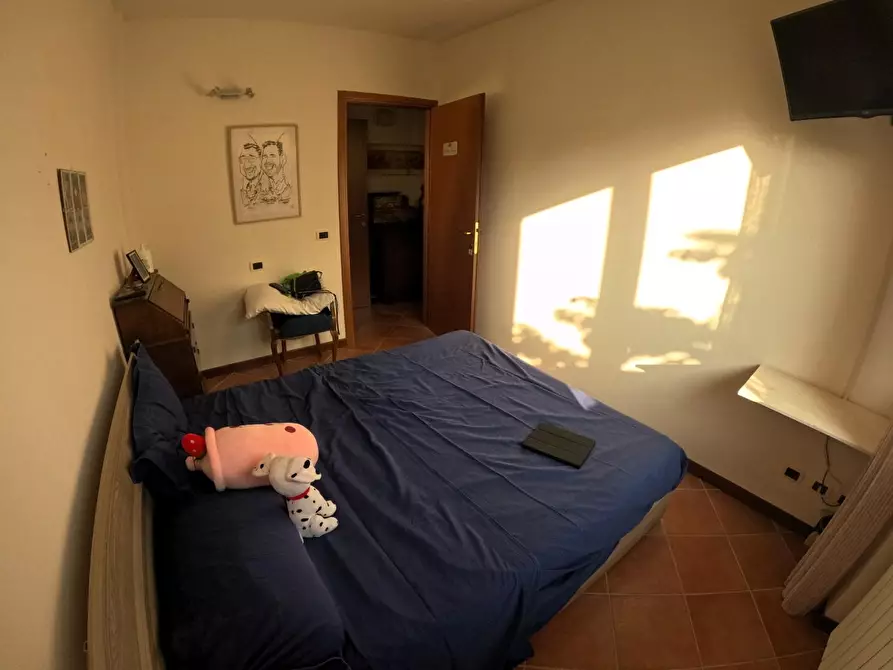 Immagine 11 di Appartamento in vendita  a Casole D'elsa