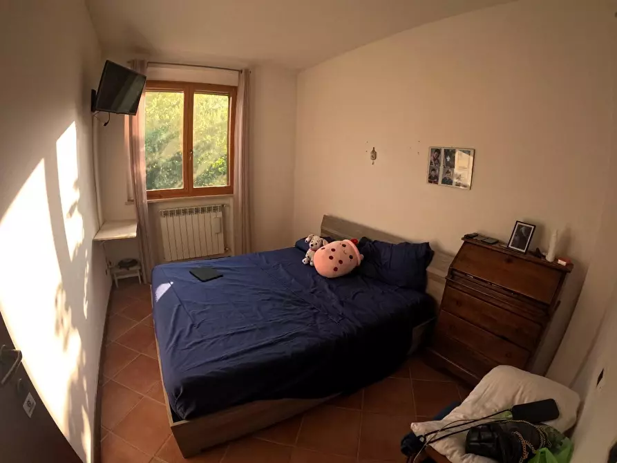 Immagine 10 di Appartamento in vendita  a Casole D'elsa