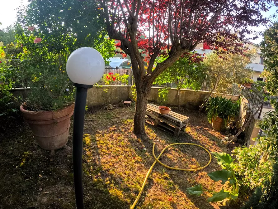 Immagine 3 di Appartamento in vendita  a Casole D'elsa