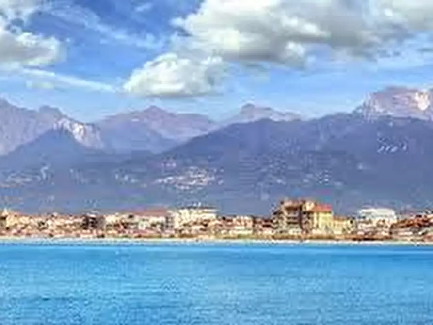 Immagine 3 di Locale commerciale in vendita  a Viareggio