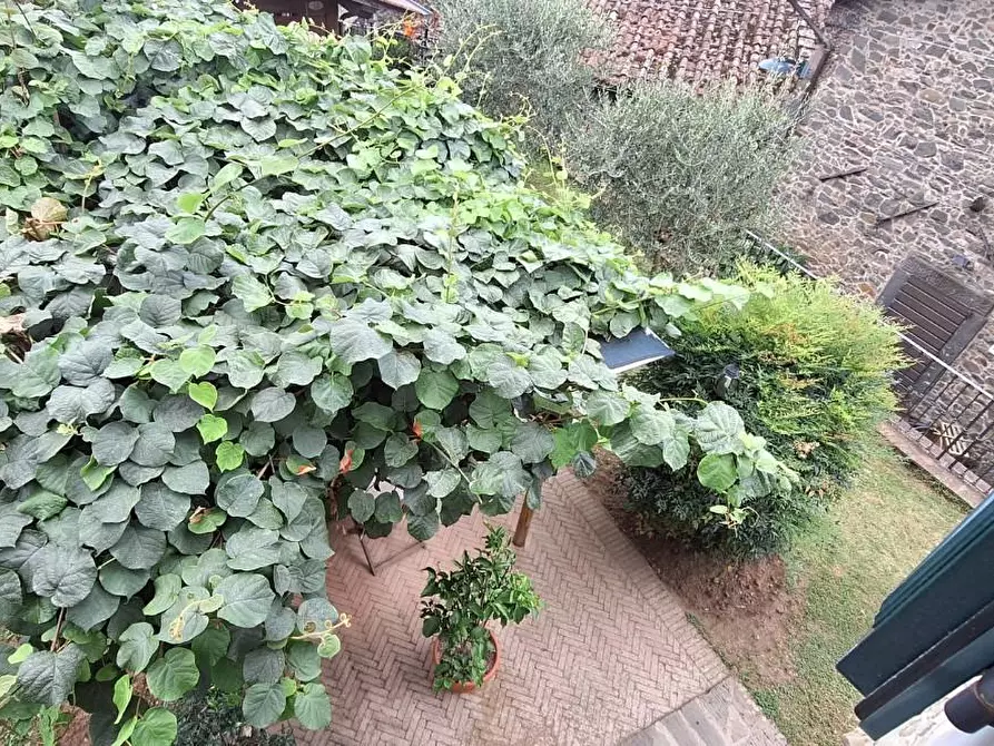 Immagine 21 di Casa semindipendente in vendita  a Pescaglia