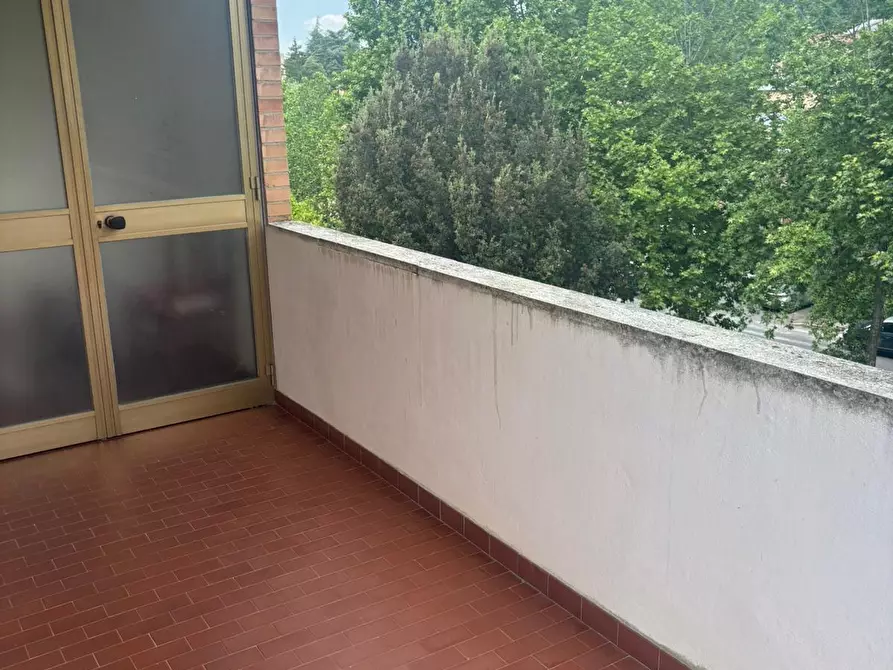 Immagine 5 di Appartamento in affitto  a Siena