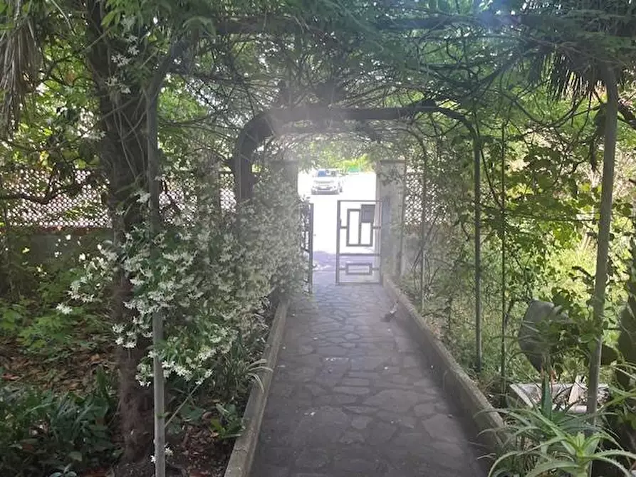 Immagine 4 di Appartamento in vendita  a Calcinaia