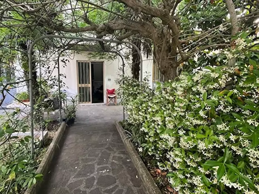 Immagine 6 di Appartamento in vendita  a Calcinaia