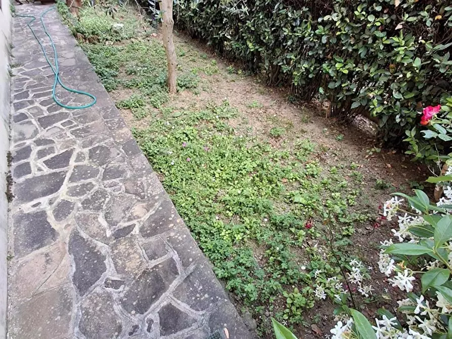 Immagine 22 di Appartamento in vendita  a Montelupo Fiorentino