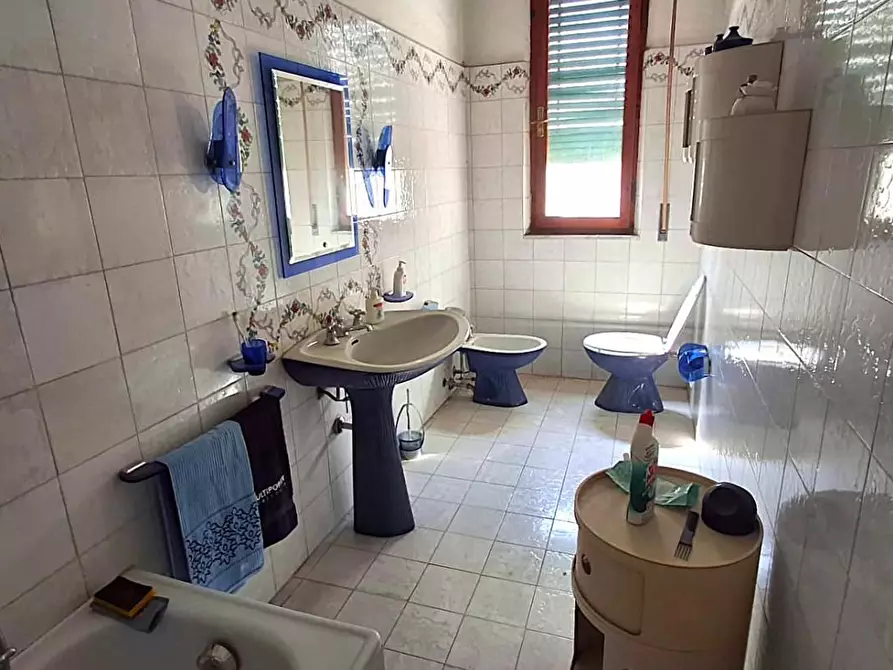 Immagine 12 di Terratetto in vendita  a Vecchiano