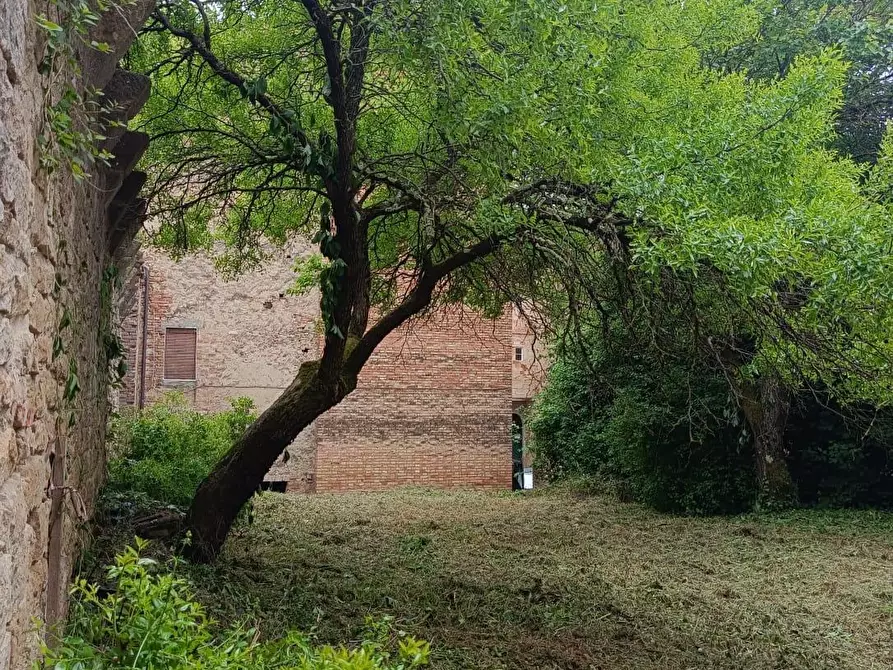 Immagine 94 di Palazzo in vendita  a Buonconvento