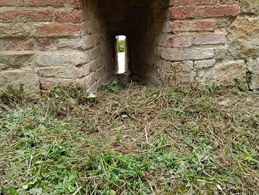 Immagine 101 di Palazzo in vendita  a Buonconvento