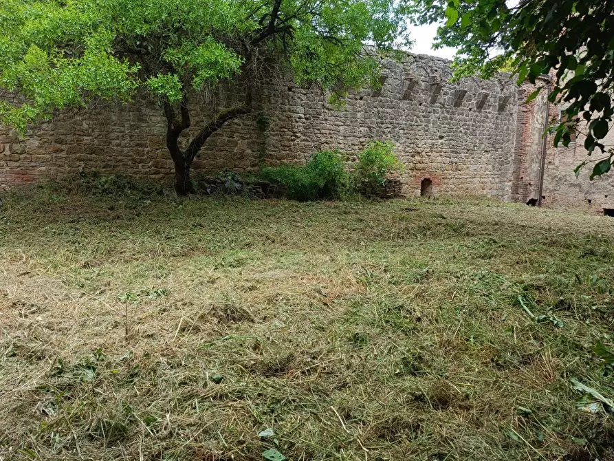 Immagine 93 di Palazzo in vendita  a Buonconvento