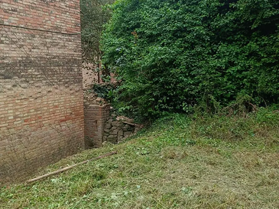 Immagine 100 di Palazzo in vendita  a Buonconvento