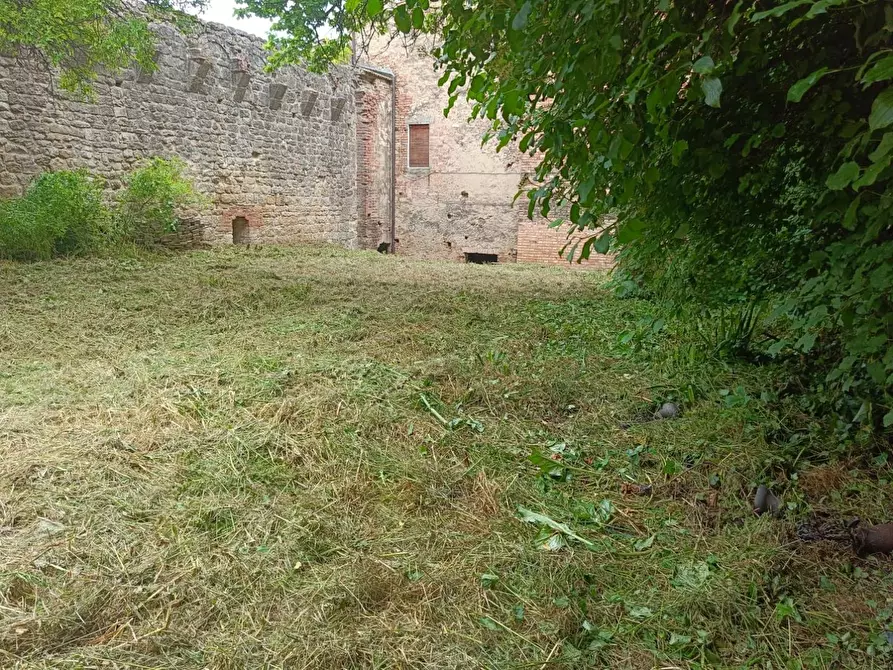 Immagine 95 di Palazzo in vendita  a Buonconvento
