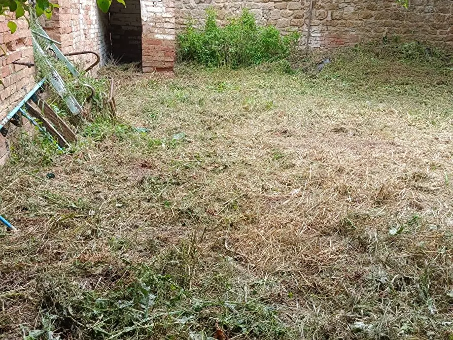 Immagine 91 di Palazzo in vendita  a Buonconvento