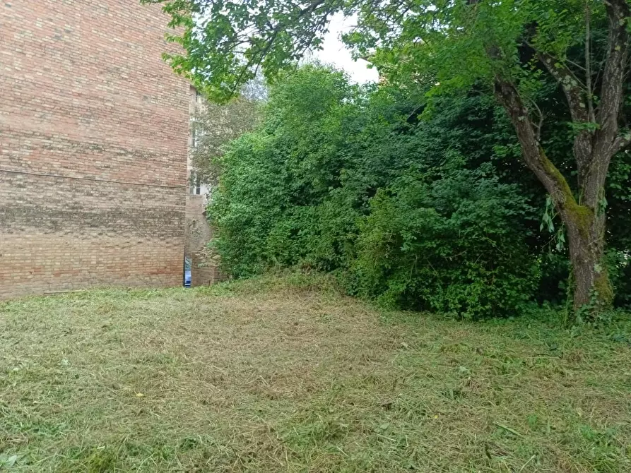 Immagine 98 di Palazzo in vendita  a Buonconvento