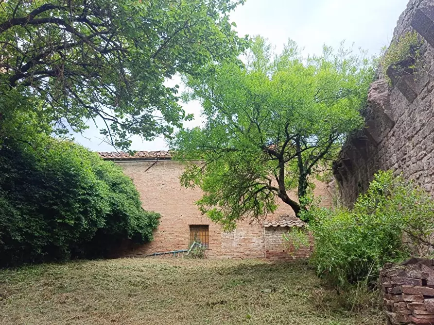 Immagine 102 di Palazzo in vendita  a Buonconvento