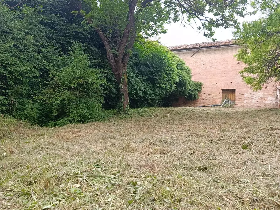 Immagine 106 di Palazzo in vendita  a Buonconvento
