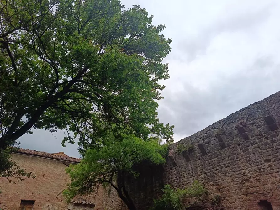 Immagine 105 di Palazzo in vendita  a Buonconvento