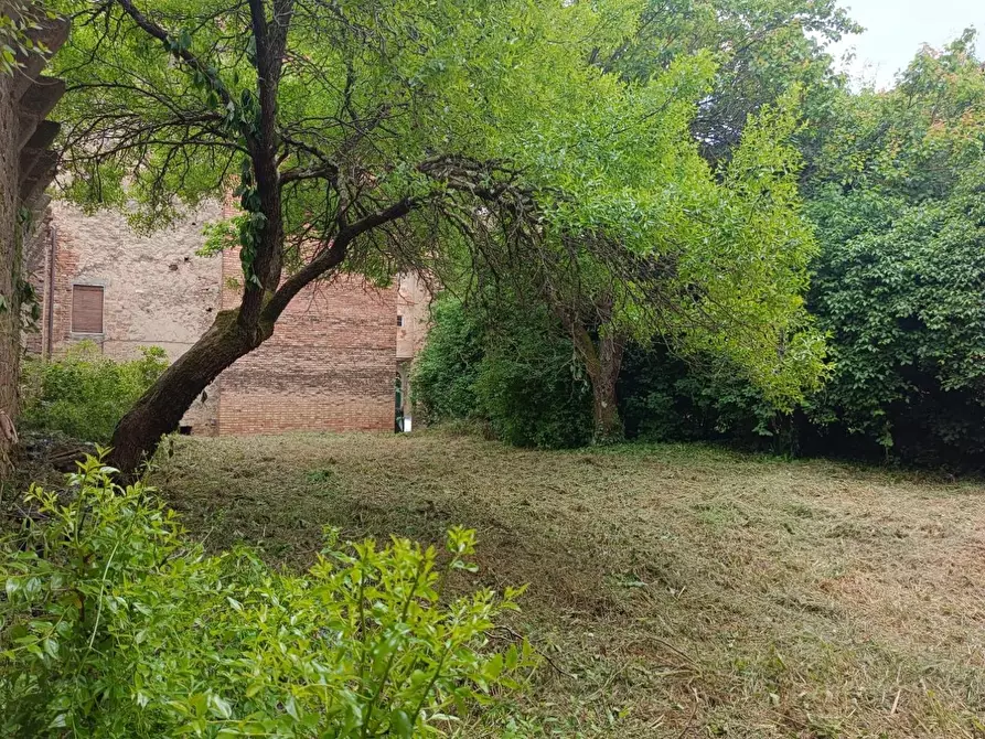 Immagine 97 di Palazzo in vendita  a Buonconvento