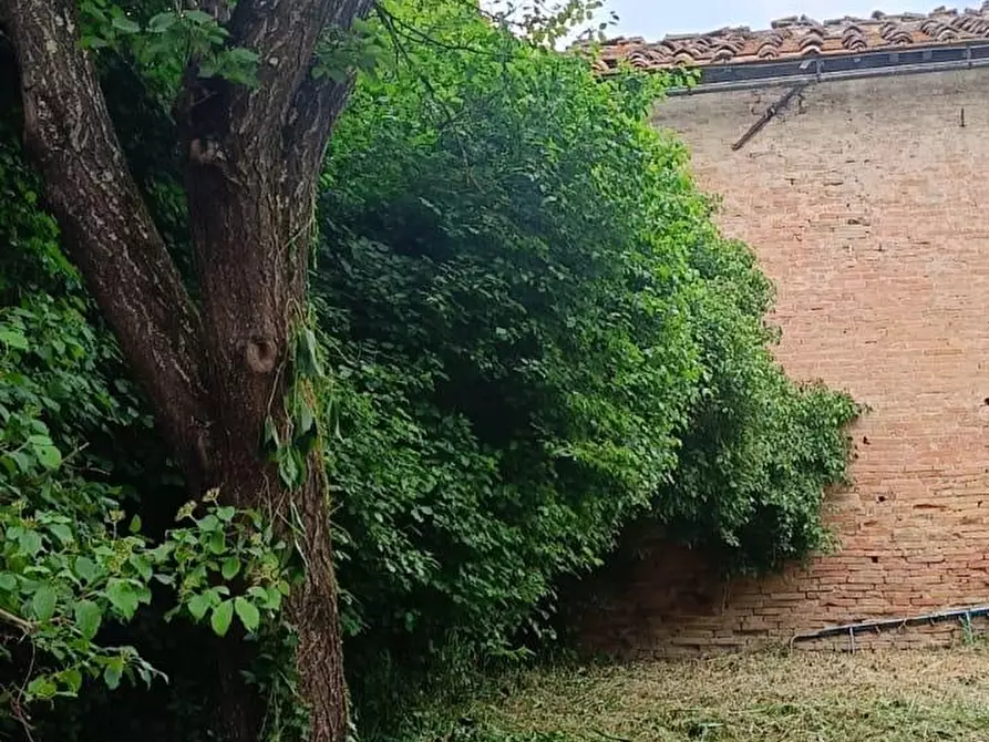 Immagine 88 di Palazzo in vendita  a Buonconvento