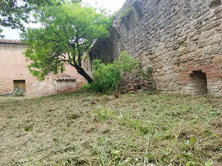 Immagine 104 di Palazzo in vendita  a Buonconvento