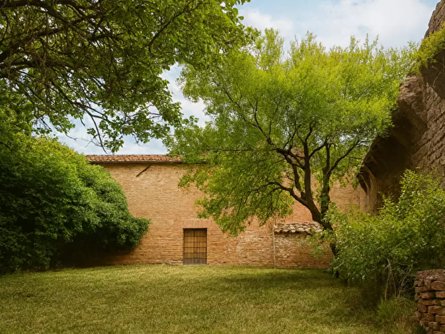 Immagine 13 di Palazzo in vendita  a Buonconvento