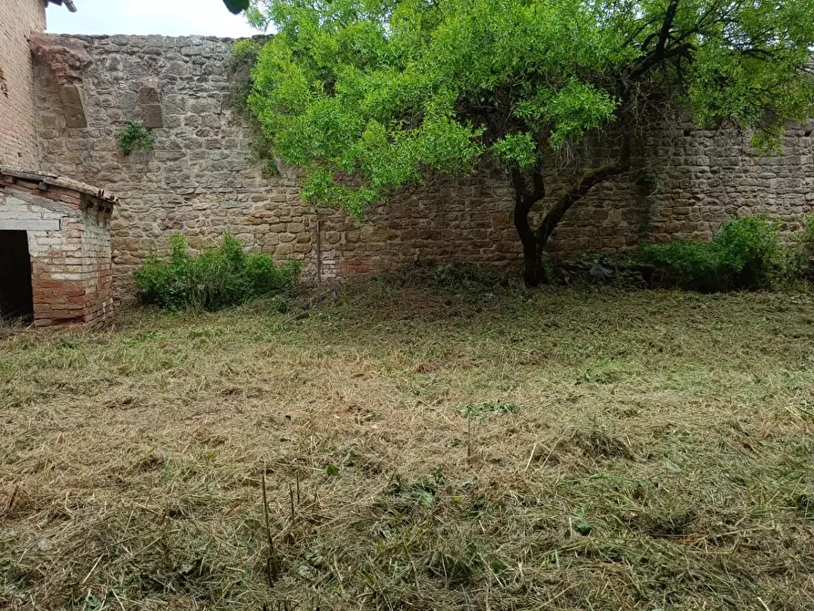 Immagine 92 di Palazzo in vendita  a Buonconvento