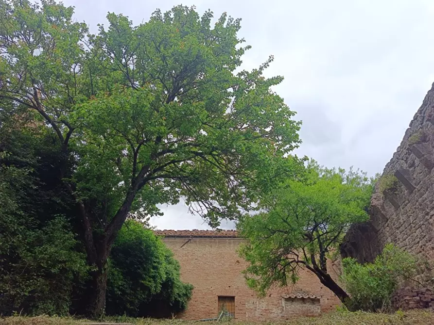 Immagine 103 di Palazzo in vendita  a Buonconvento
