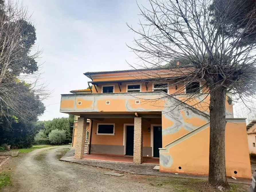 Immagine 9 di Casa indipendente in vendita  a Casciana Terme Lari