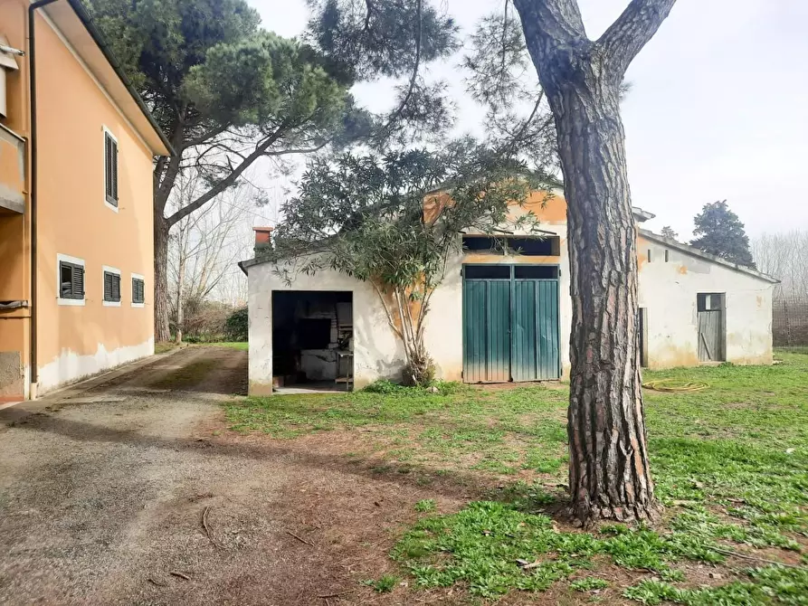 Immagine 3 di Casa indipendente in vendita  a Casciana Terme Lari