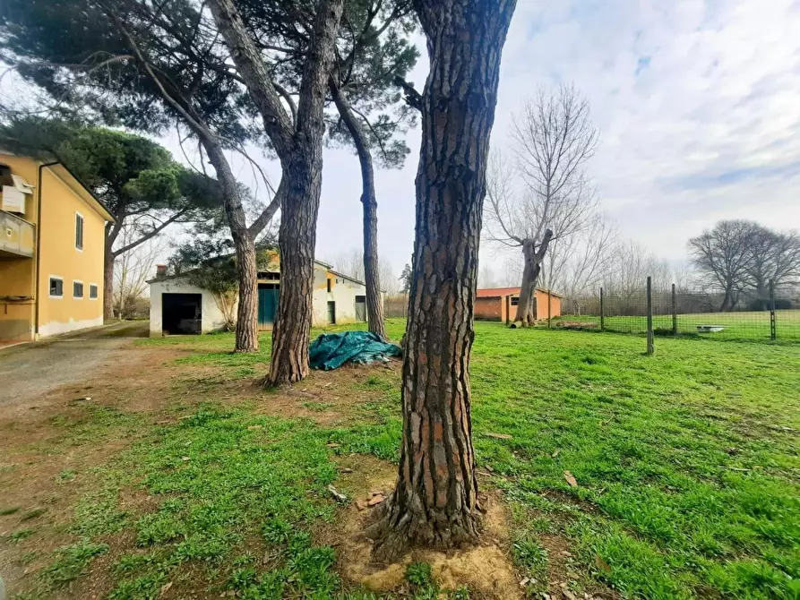 Immagine 14 di Casa indipendente in vendita  a Casciana Terme Lari