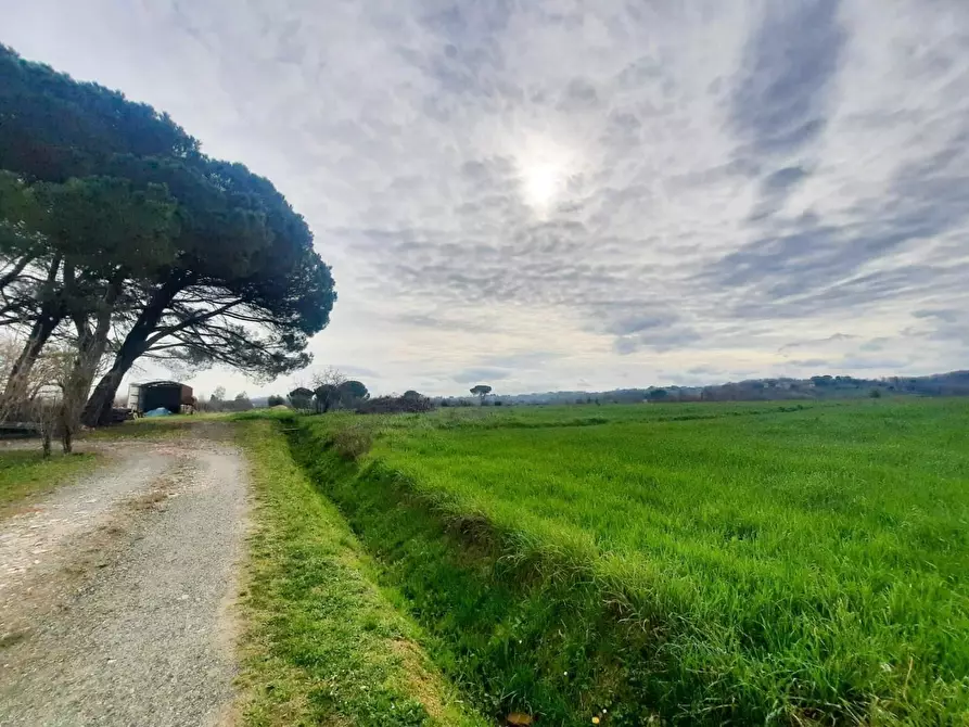 Immagine 11 di Casa indipendente in vendita  a Casciana Terme Lari