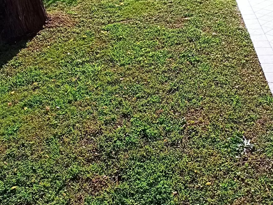 Immagine 16 di Casa bifamiliare in affitto  a Camaiore