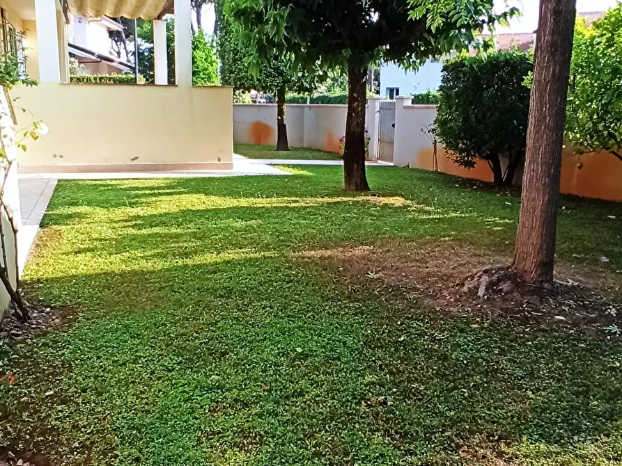 Immagine 17 di Casa bifamiliare in affitto  a Camaiore