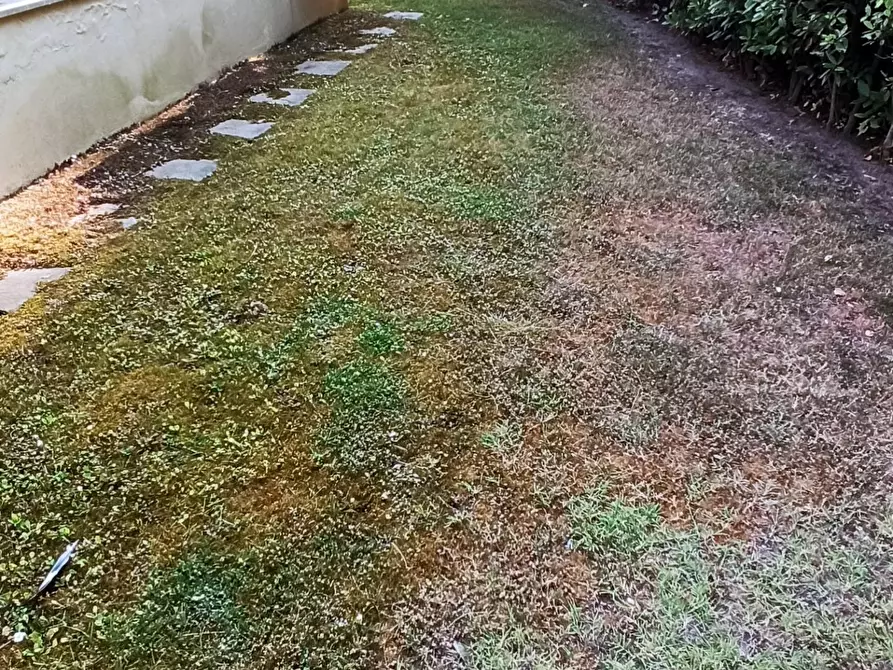 Immagine 19 di Casa bifamiliare in affitto  a Camaiore