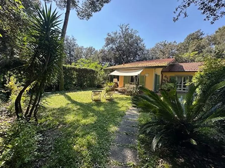 Immagine 5 di Appartamento in vendita  a Massa