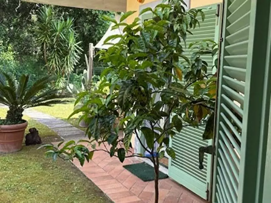 Immagine 19 di Appartamento in vendita  a Massa